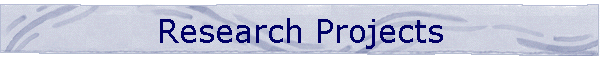Research Projects